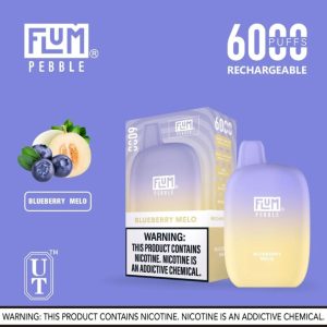 Blueberry Melo 6000 puffs