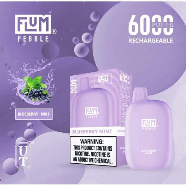 Flum Mello Blueberry Mint