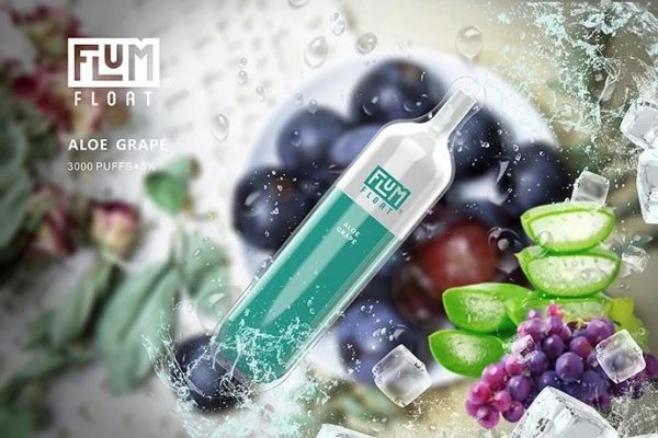 Flum Pebble Aloe Grape 3000 Puffs