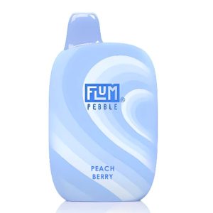 Flum Pebble Peach Berry 6000 Puffs