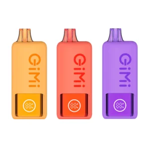 FLUM GIMI 8500 SMART DISPOSABLE