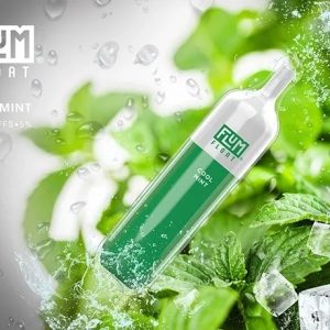 Cool Mint 3000 puffs