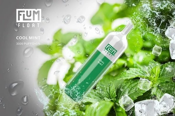 Flum Pebble Cool Mint 3000 Puffs