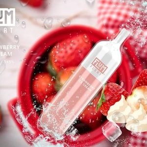 Strawberry Ice Cream 3000 puffs