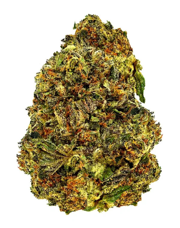 Gelato King – THCA Flower