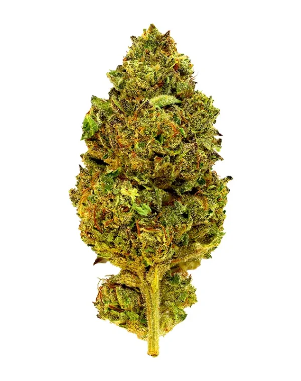 Jokerz – THCA Flower