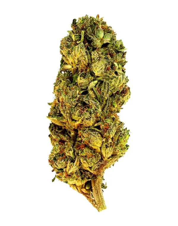 Lobster Butter – THCA Flower