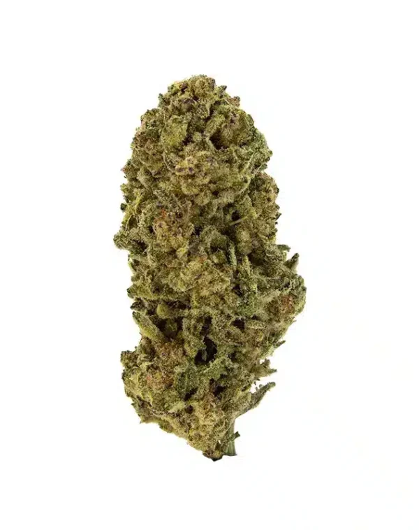 THCA Flower – Pure Michigan