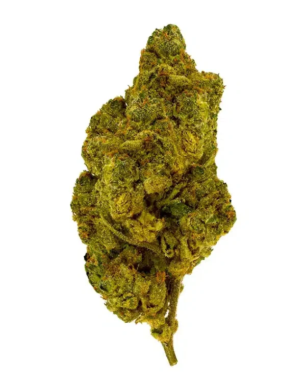 THCA Flower – Gary Payton – 3.5g