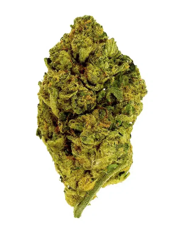THCA Flower – Gary Runtz – 3.5g